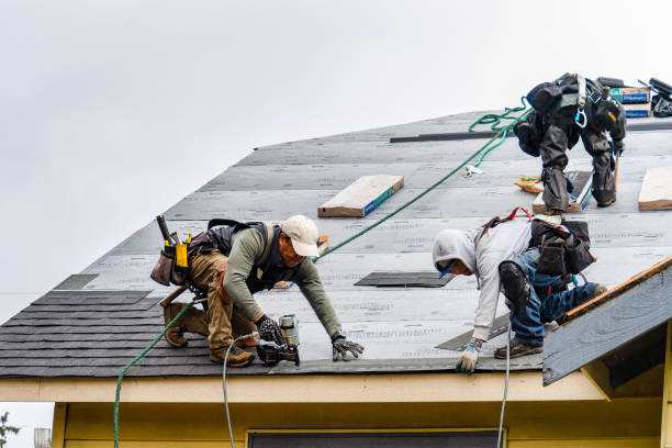 Professional Storm Damage Roof Repair technician working in Coleman, FL