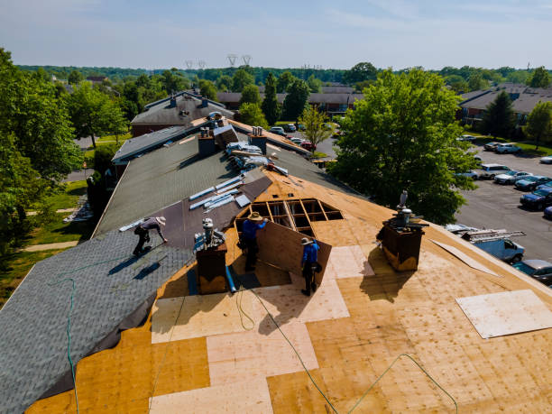 24/7 Emergency Storm Damage Roof Repair experts in Coleman, FL